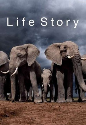 Life Story