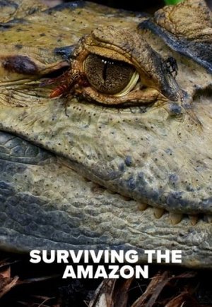 Surviving the Amazon