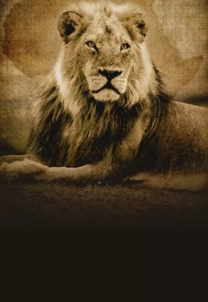 Into the Pride Lands