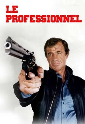 The Professional