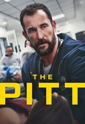 The Pitt