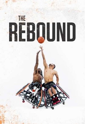 The Rebound