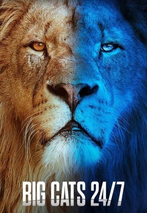 Big Cats 24/7
