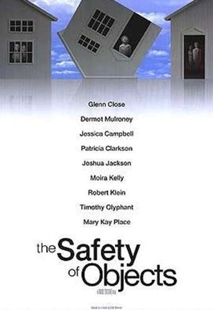 The Safety of Objects