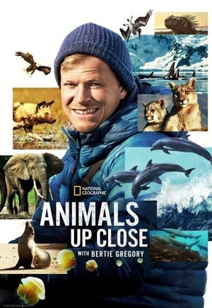 Animals Up Close with Bertie Gregory