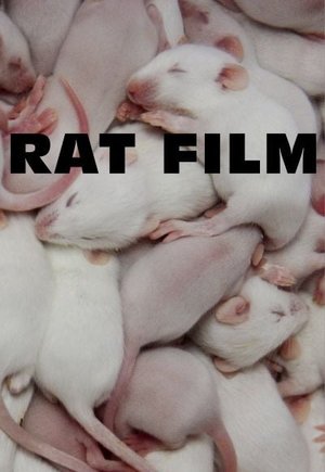 Rat Film