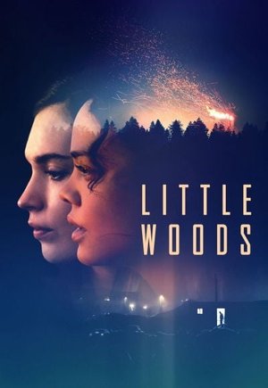 Little Woods