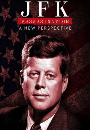 JFK Assassination: A New Perspective