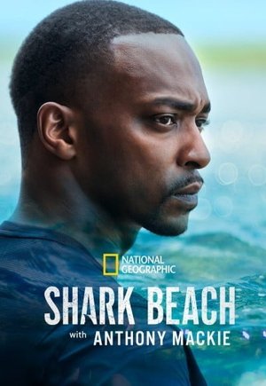 Shark Beach with Anthony Mackie
