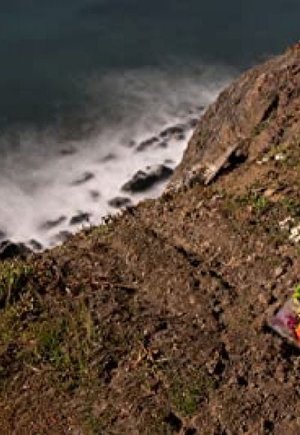 A Thread of Deceit: The Hart Family Tragedy