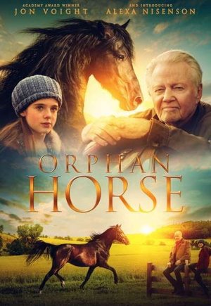 Orphan Horse