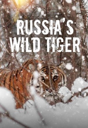 Russia's Wild Tiger