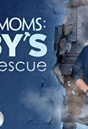 Abby's Studio Rescue