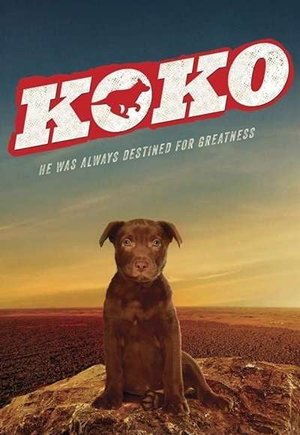 Koko: A Red Dog Story