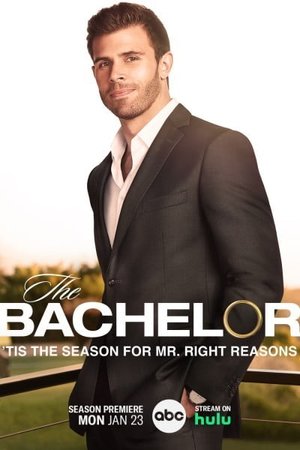 The Bachelor