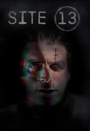 Site 13