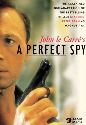A Perfect Spy