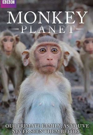 Monkey Planet