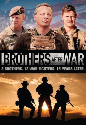 Brothers After War