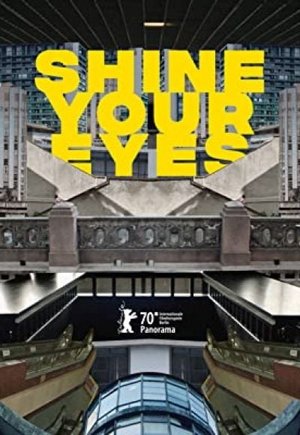 Shine Your Eyes