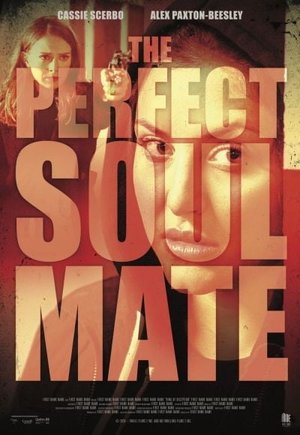 The Perfect Soulmate