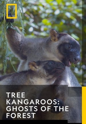 Tree Kangaroos: Ghosts of the Forest