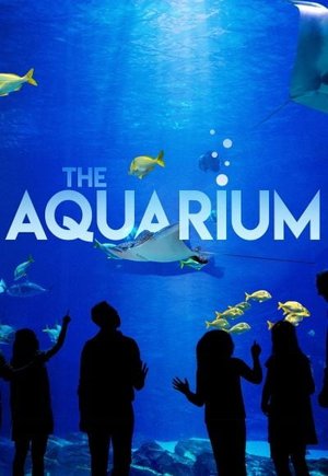 The Aquarium