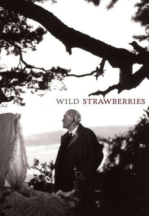 Wild Strawberries
