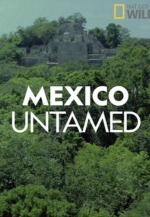 Mexico Untamed