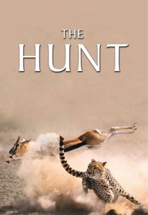 The Hunt