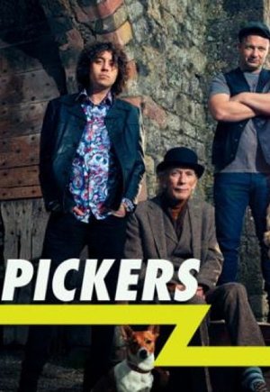 Irish Pickers