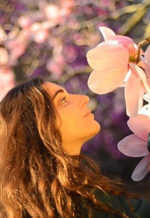 Shinrin-Yoku : Forest Bathing