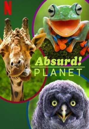 Absurd Planet