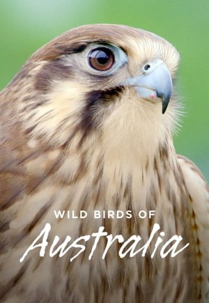 Wild Birds of Australia