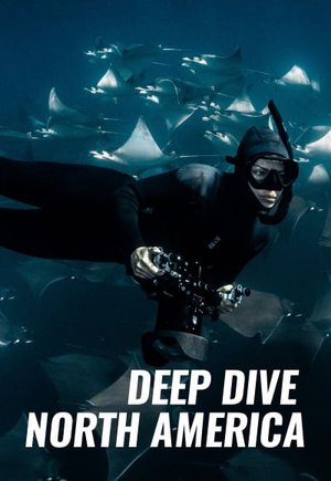 Deep Dive North America