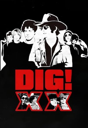 DIG! XX
