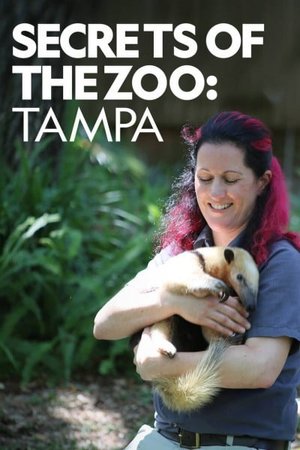 Secrets of the Zoo: Tampa
