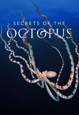 Secrets of the Octopus