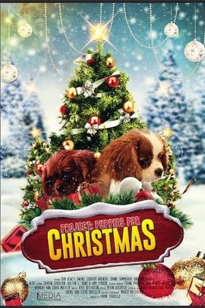Project: Puppies for Christmas