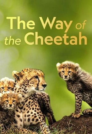 The Way of the Cheetah